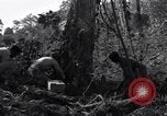 Standbild Bau von Ledo Road Manpin Birma, 1944, aus Sekunde 33 historischem Filmmaterial Videoclip 65675034788