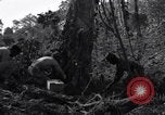 Standbild Bau von Ledo Road Manpin Birma, 1944, aus Sekunde 34 historischem Filmmaterial Videoclip 65675034788