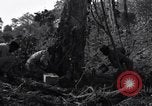 Standbild Bau von Ledo Road Manpin Birma, 1944, aus Sekunde 35 historischem Filmmaterial Videoclip 65675034788