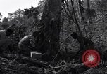 Standbild Bau von Ledo Road Manpin Birma, 1944, aus Sekunde 36 historischem Filmmaterial Videoclip 65675034788