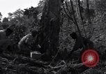 Standbild Bau von Ledo Road Manpin Birma, 1944, aus Sekunde 37 historischem Filmmaterial Videoclip 65675034788