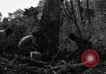 Standbild Bau von Ledo Road Manpin Birma, 1944, aus Sekunde 38 historischem Filmmaterial Videoclip 65675034788