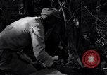 Standbild Bau von Ledo Road Manpin Birma, 1944, aus Sekunde 39 historischem Filmmaterial Videoclip 65675034788