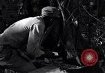 Standbild Bau von Ledo Road Manpin Birma, 1944, aus Sekunde 43 historischem Filmmaterial Videoclip 65675034788