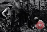 Standbild Bau von Ledo Road Manpin Birma, 1944, aus Sekunde 52 historischem Filmmaterial Videoclip 65675034788