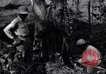 Standbild Bau von Ledo Road Manpin Birma, 1944, aus Sekunde 56 historischem Filmmaterial Videoclip 65675034788