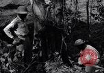 Standbild Bau von Ledo Road Manpin Birma, 1944, aus Sekunde 58 historischem Filmmaterial Videoclip 65675034788