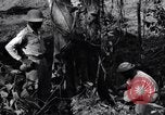 Standbild Bau von Ledo Road Manpin Birma, 1944, aus Sekunde 59 historischem Filmmaterial Videoclip 65675034788