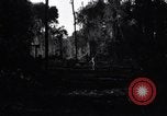 Standbild Bau von Ledo Road Manpin Birma, 1944, aus Sekunde 14 historischem Filmmaterial Videoclip 65675034789