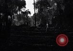 Standbild Bau von Ledo Road Manpin Birma, 1944, aus Sekunde 29 historischem Filmmaterial Videoclip 65675034789