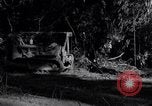 Standbild Bau von Ledo Road Manpin Birma, 1944, aus Sekunde 48 historischem Filmmaterial Videoclip 65675034789