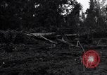 Standbild Caterpillar D7-Bulldozer bei der Konstruktion von Ledo Road Manpin Birma, 1944, aus Sekunde 3 historischem Filmmaterial Videoclip 65675034790