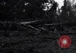 Standbild Caterpillar D7-Bulldozer bei der Konstruktion von Ledo Road Manpin Birma, 1944, aus Sekunde 4 historischem Filmmaterial Videoclip 65675034790