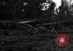 Standbild Caterpillar D7-Bulldozer bei der Konstruktion von Ledo Road Manpin Birma, 1944, aus Sekunde 6 historischem Filmmaterial Videoclip 65675034790