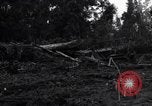 Standbild Caterpillar D7-Bulldozer bei der Konstruktion von Ledo Road Manpin Birma, 1944, aus Sekunde 8 historischem Filmmaterial Videoclip 65675034790