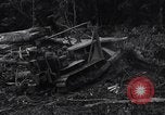 Standbild Caterpillar D7-Bulldozer bei der Konstruktion von Ledo Road Manpin Birma, 1944, aus Sekunde 13 historischem Filmmaterial Videoclip 65675034790