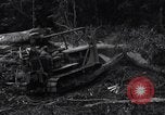 Standbild Caterpillar D7-Bulldozer bei der Konstruktion von Ledo Road Manpin Birma, 1944, aus Sekunde 15 historischem Filmmaterial Videoclip 65675034790
