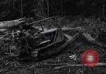 Standbild Caterpillar D7-Bulldozer bei der Konstruktion von Ledo Road Manpin Birma, 1944, aus Sekunde 16 historischem Filmmaterial Videoclip 65675034790