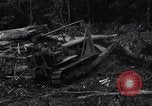 Standbild Caterpillar D7-Bulldozer bei der Konstruktion von Ledo Road Manpin Birma, 1944, aus Sekunde 17 historischem Filmmaterial Videoclip 65675034790