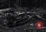 Standbild Caterpillar D7-Bulldozer bei der Konstruktion von Ledo Road Manpin Birma, 1944, aus Sekunde 20 historischem Filmmaterial Videoclip 65675034790