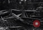 Standbild Caterpillar D7-Bulldozer bei der Konstruktion von Ledo Road Manpin Birma, 1944, aus Sekunde 32 historischem Filmmaterial Videoclip 65675034790