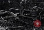 Standbild Caterpillar D7-Bulldozer bei der Konstruktion von Ledo Road Manpin Birma, 1944, aus Sekunde 36 historischem Filmmaterial Videoclip 65675034790