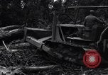 Standbild Caterpillar D7-Bulldozer bei der Konstruktion von Ledo Road Manpin Birma, 1944, aus Sekunde 39 historischem Filmmaterial Videoclip 65675034790