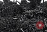 Standbild Caterpillar D7-Bulldozer bei der Konstruktion von Ledo Road Manpin Birma, 1944, aus Sekunde 49 historischem Filmmaterial Videoclip 65675034790