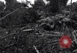 Standbild Caterpillar D7-Bulldozer bei der Konstruktion von Ledo Road Manpin Birma, 1944, aus Sekunde 50 historischem Filmmaterial Videoclip 65675034790