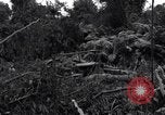 Standbild Caterpillar D7-Bulldozer bei der Konstruktion von Ledo Road Manpin Birma, 1944, aus Sekunde 54 historischem Filmmaterial Videoclip 65675034790
