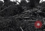 Standbild Caterpillar D7-Bulldozer bei der Konstruktion von Ledo Road Manpin Birma, 1944, aus Sekunde 56 historischem Filmmaterial Videoclip 65675034790