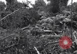 Standbild Caterpillar D7-Bulldozer bei der Konstruktion von Ledo Road Manpin Birma, 1944, aus Sekunde 62 historischem Filmmaterial Videoclip 65675034790