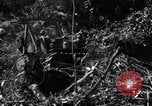 Image construction d'Ledo Road Manpin Birmanie, 1944, de la seconde 7 séquences d'archives historiques vidéo 65675034791