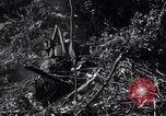 Image construction d'Ledo Road Manpin Birmanie, 1944, de la seconde 9 séquences d'archives historiques vidéo 65675034791