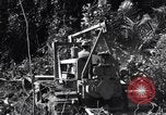 Image construction d'Ledo Road Manpin Birmanie, 1944, de la seconde 23 séquences d'archives historiques vidéo 65675034791