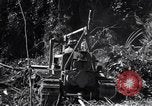 Image construction d'Ledo Road Manpin Birmanie, 1944, de la seconde 26 séquences d'archives historiques vidéo 65675034791