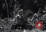 Image construction d'Ledo Road Manpin Birmanie, 1944, de la seconde 29 séquences d'archives historiques vidéo 65675034791