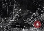 Image construction d'Ledo Road Manpin Birmanie, 1944, de la seconde 30 séquences d'archives historiques vidéo 65675034791
