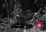 Image construction d'Ledo Road Manpin Birmanie, 1944, de la seconde 31 séquences d'archives historiques vidéo 65675034791