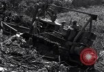 Image construction d'Ledo Road Manpin Birmanie, 1944, de la seconde 38 séquences d'archives historiques vidéo 65675034791