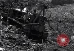 Image construction d'Ledo Road Manpin Birmanie, 1944, de la seconde 42 séquences d'archives historiques vidéo 65675034791