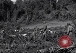 Image construction d'Ledo Road Manpin Birmanie, 1944, de la seconde 55 séquences d'archives historiques vidéo 65675034791