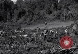 Image construction d'Ledo Road Manpin Birmanie, 1944, de la seconde 56 séquences d'archives historiques vidéo 65675034791