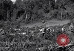 Image construction d'Ledo Road Manpin Birmanie, 1944, de la seconde 57 séquences d'archives historiques vidéo 65675034791