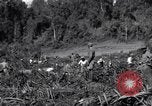 Image construction d'Ledo Road Manpin Birmanie, 1944, de la seconde 58 séquences d'archives historiques vidéo 65675034791