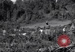Image construction d'Ledo Road Manpin Birmanie, 1944, de la seconde 60 séquences d'archives historiques vidéo 65675034791