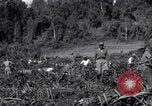Image construction d'Ledo Road Manpin Birmanie, 1944, de la seconde 61 séquences d'archives historiques vidéo 65675034791