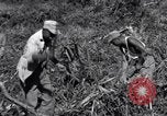 Image construction d'Ledo Road Manpin Birmanie, 1944, de la seconde 62 séquences d'archives historiques vidéo 65675034791