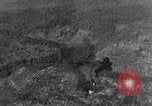 Standbild 8 Air Force Deutschland, 1944, aus Sekunde 46 historischem Filmmaterial Videoclip 65675034799