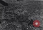 Standbild 8 Air Force Deutschland, 1944, aus Sekunde 48 historischem Filmmaterial Videoclip 65675034799